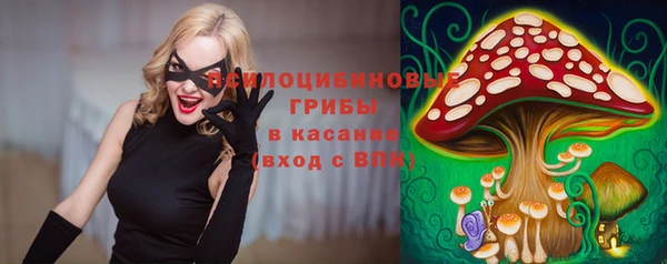 каннабис Каменногорск