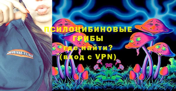 ПСИЛОЦИБИНОВЫЕ ГРИБЫ Каменка