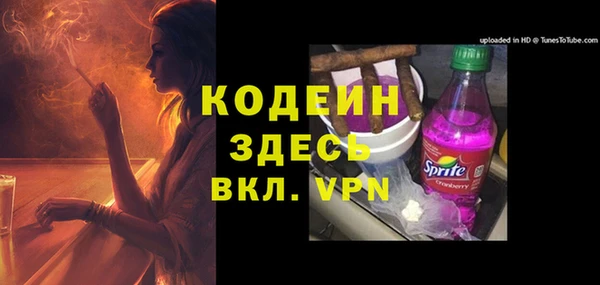 ПСИЛОЦИБИНОВЫЕ ГРИБЫ Каменка