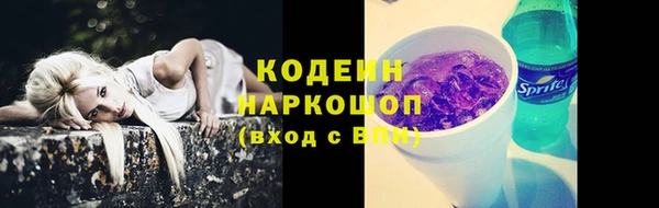 ПСИЛОЦИБИНОВЫЕ ГРИБЫ Каменка