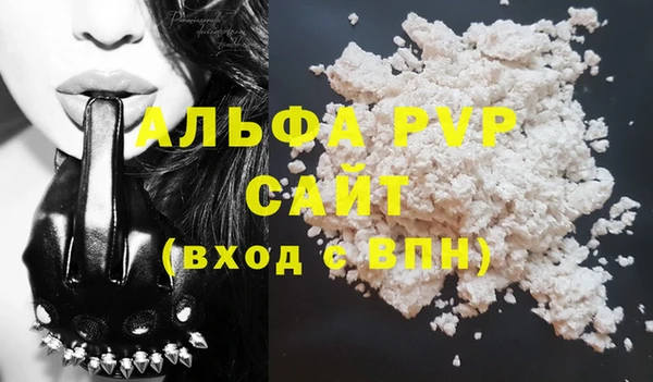 ПСИЛОЦИБИНОВЫЕ ГРИБЫ Каменка