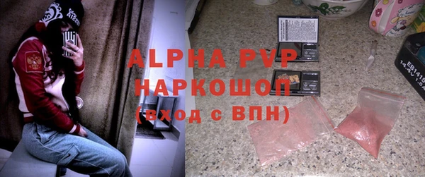 ПСИЛОЦИБИНОВЫЕ ГРИБЫ Каменка