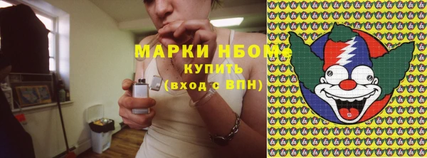 ПСИЛОЦИБИНОВЫЕ ГРИБЫ Каменка