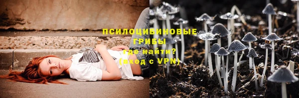 каннабис Каменногорск